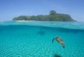 sea Ã¢â¬â¹Ã¢â¬â¹turtle in its environment in the caribbean sea Royalty Free Stock Photo